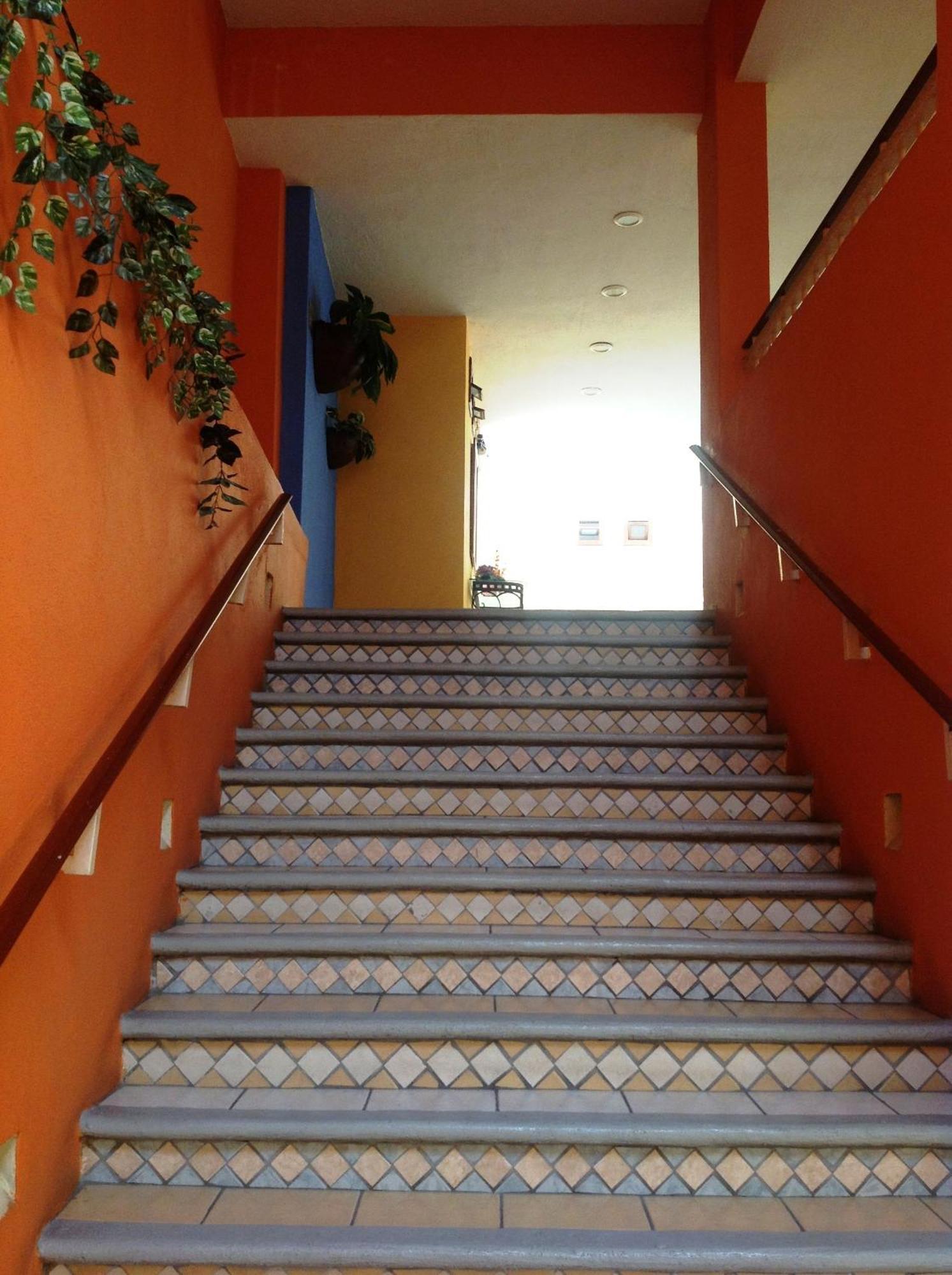 Plaza Jardin Tequila Exterior foto