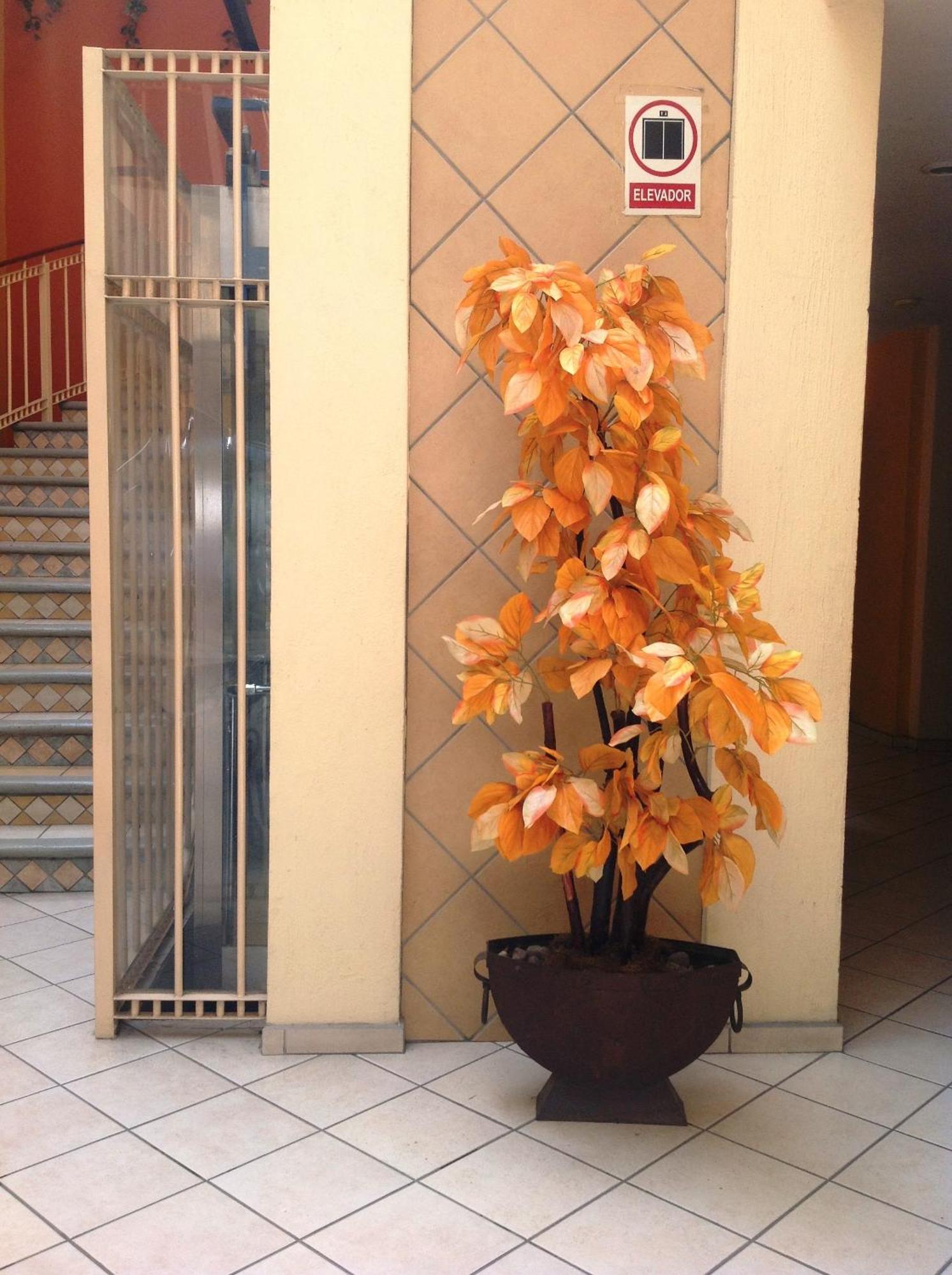 Plaza Jardin Tequila Exterior foto